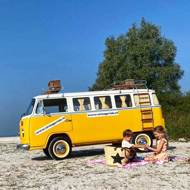 yellowfun-4