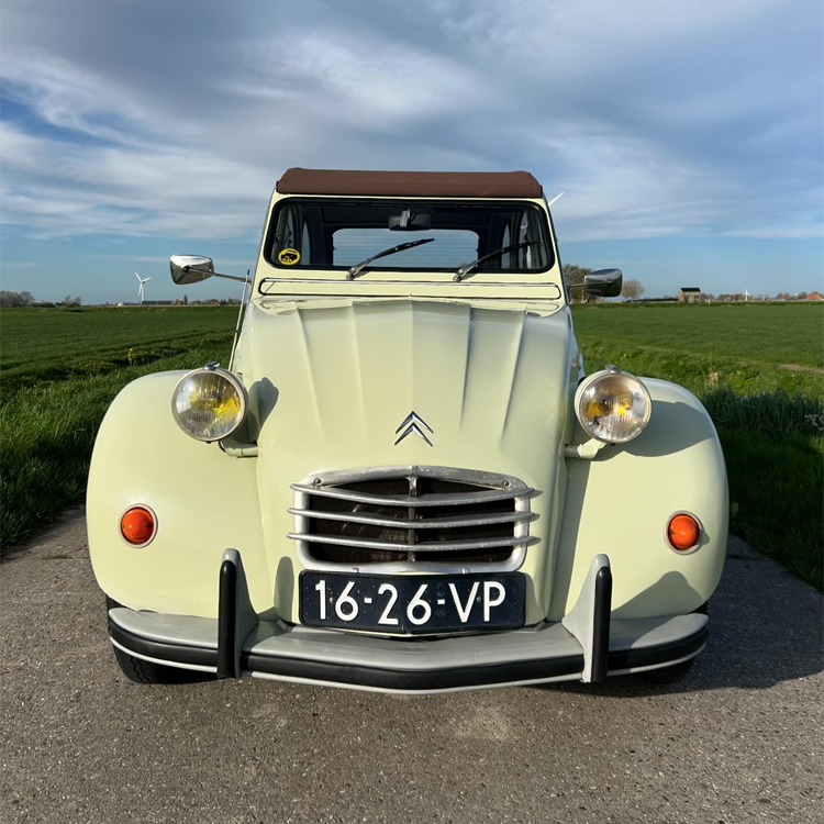 lelijkeendje-1