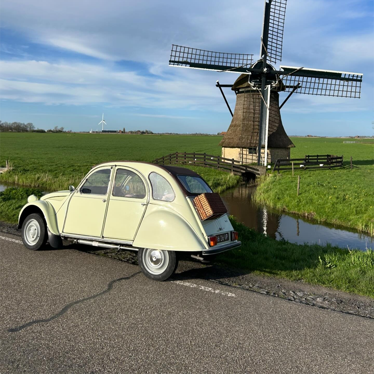 lelijkeendje-2