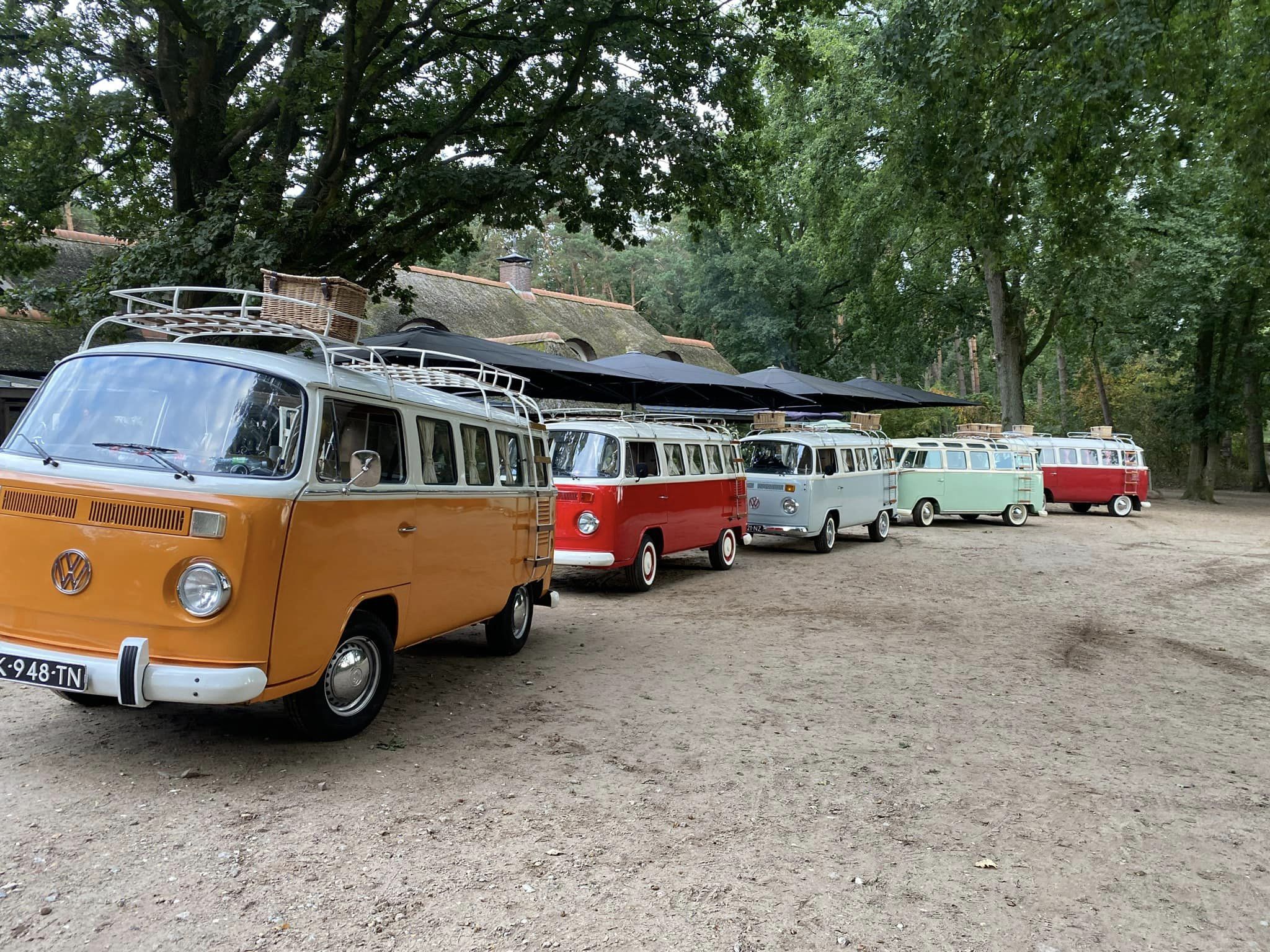 420017075_791574372984699_3077832591211665305_n.jpg