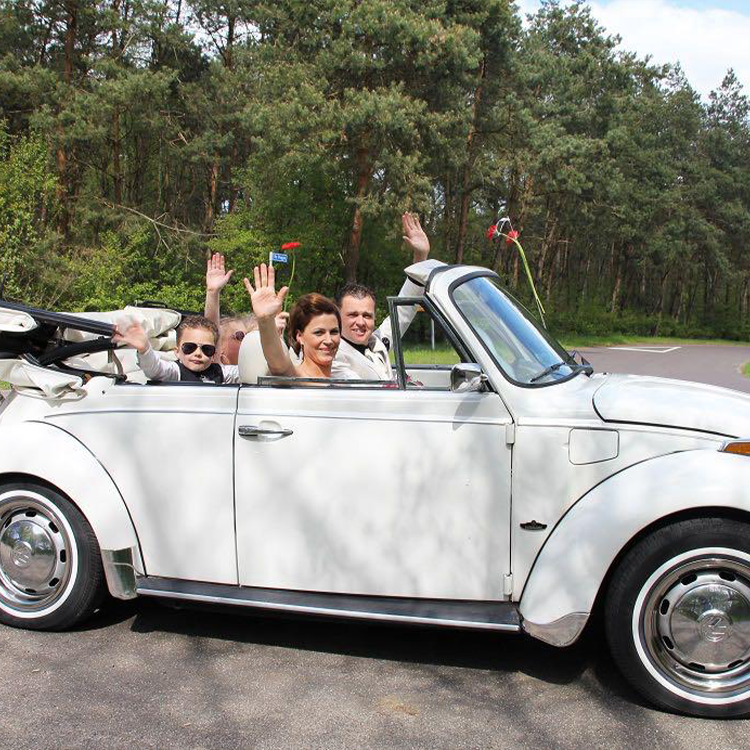 herbie-2.png