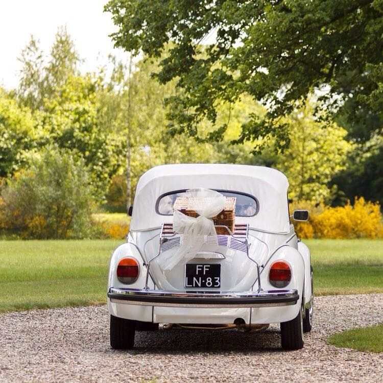 herbie-3.png